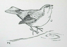 DRINKING FINCH by SIR PETER