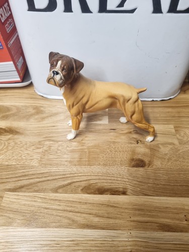 Royal doulton dog - royal, boxer
