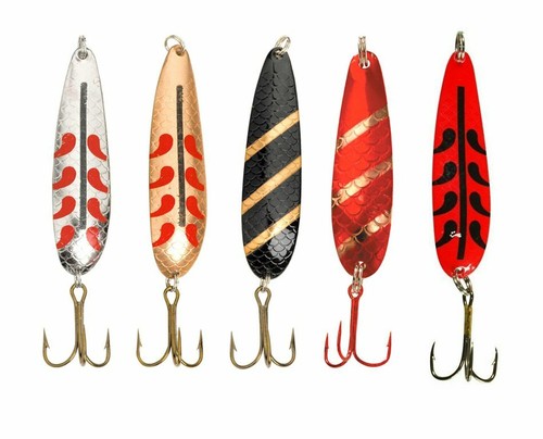 Solvkroken salamander trout - salamander,