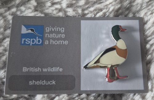 Rspb bird pin badge shelduck - pin,