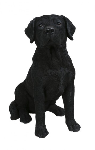 Black labrador dog - -, lifelike