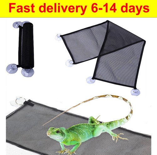Reptile hammock for small - for,