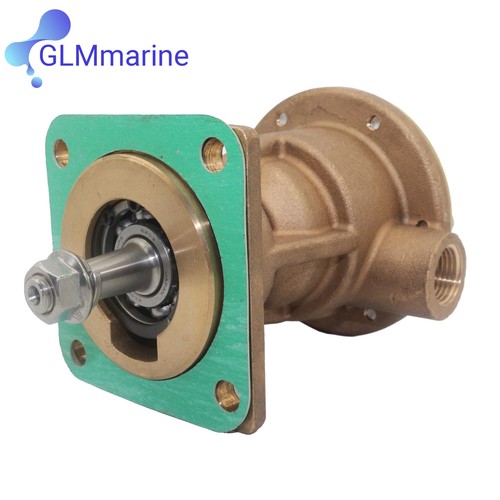 Raw sea water pump - pump, for