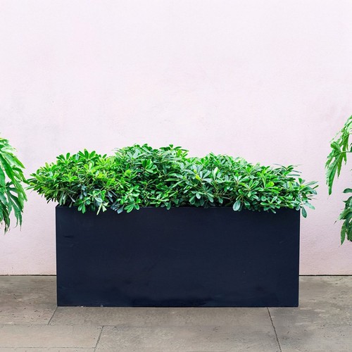 Primrose black galvanised zinc - black,