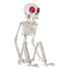 Halloween Monkey Skeleton with