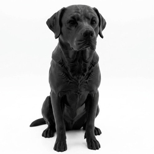 Labrador retriever dog - retriever,