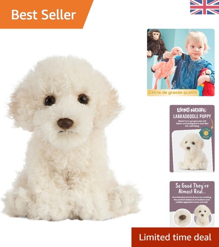 Adorable labradoodle - 16,