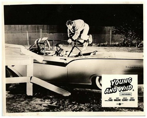 Young and wild lobby card - young,