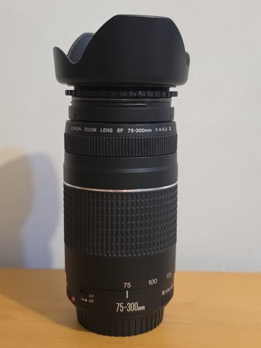 Canon zoom lens 300mm - zoom,