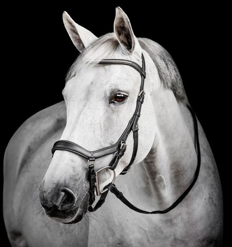 Horseware micklem diamante - horseware,