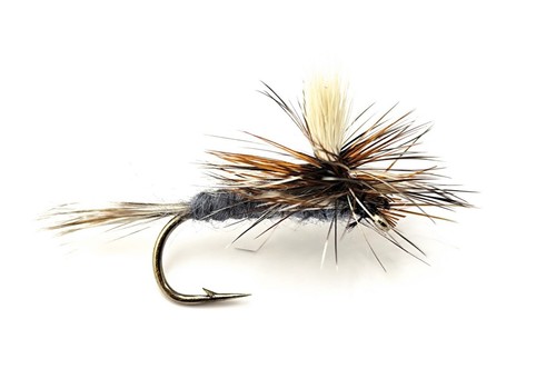 Adams parachute dry - 3,