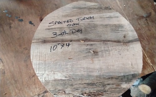 Spalted turkey oak - spalted, blank