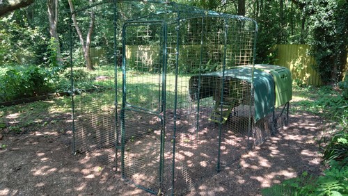 Omlet eglu cube chicken coop - chicken,