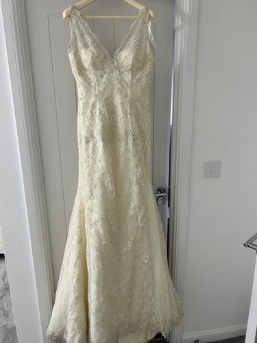 Pronovias wedding dress size