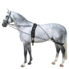 Horse Lunge Training System Aid Develops Top Line Cob/Pony