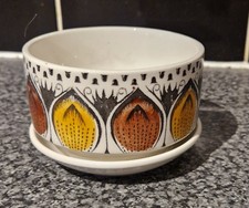 Broadhurst Kathie Winkle