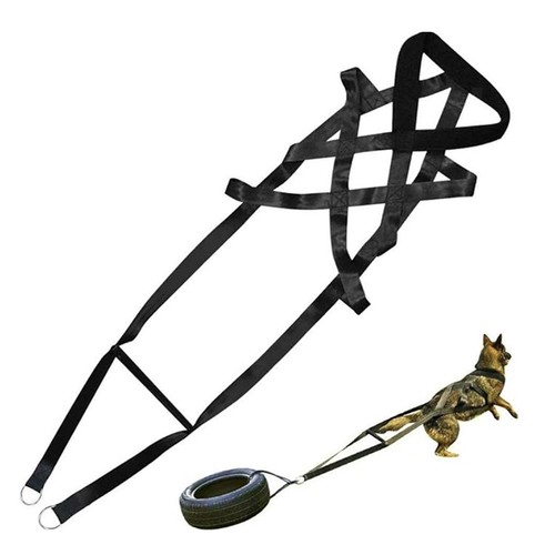 Dog weight pulling - dog, for