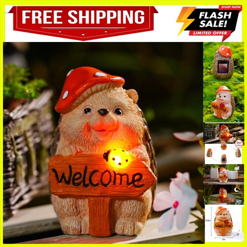 Garden hedgehog welcome - garden,