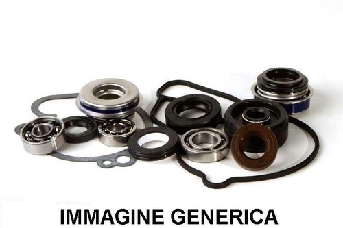 Water pump kits - pump,