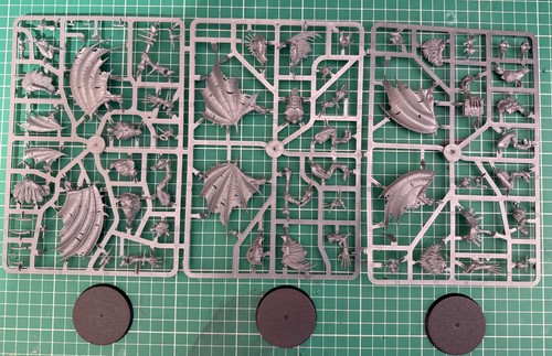 Warhammer age sigmar flesh - warhammer,
