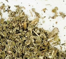 Mugwort & Mullein Leaf Herbal