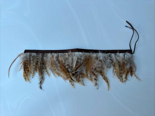 Fancy dress red indian feather - indian,