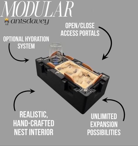 Modular small nest - modular,