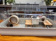 Hamster / guinea pig cage.  Ferplast Maxi Duna Multi (retails at £134 new) 