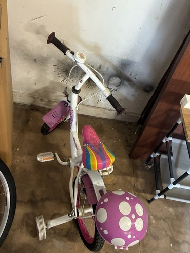 Little girls tricycle - little,