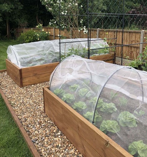 Flexible black garden - garden, cloche
