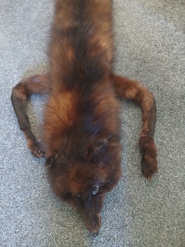 Vintage brown real - brown, fur