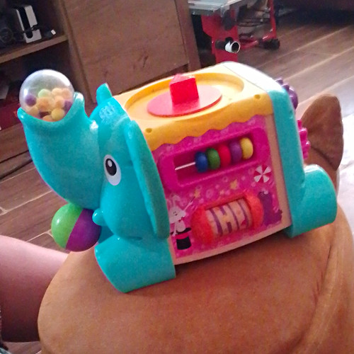 Elephant baby activity - elephant, toy