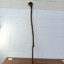 Huge Blackthorn Shank Walking Stick – 1.45m Length – Impressive Knob Handle
