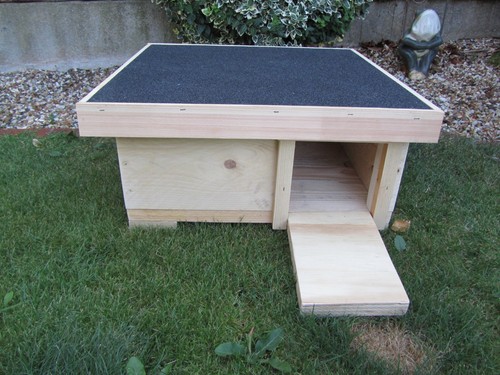 Hedgehog feeding station