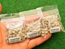 1 Crinoid Bag 20g Sea Lily