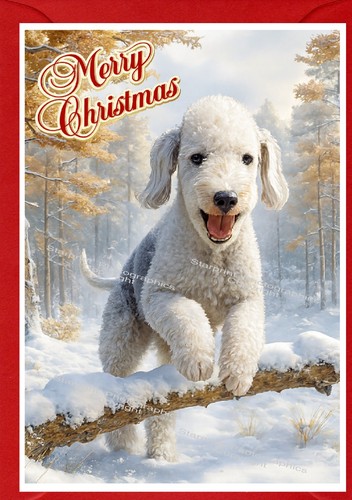Bedlington terrier dog - bedlington,