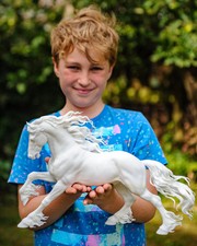 Friesian stallion galloping