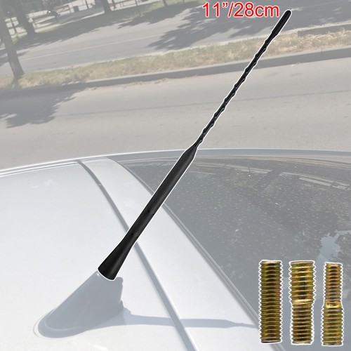 Car beesting bee sting - beesting,