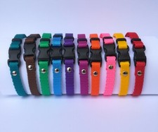 10 Collars. Puppy Whelping ID