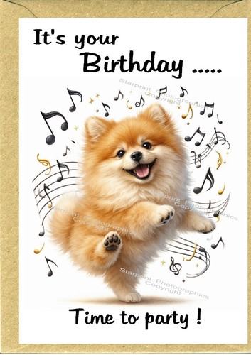 Pomeranian dog birthday card - birthday,