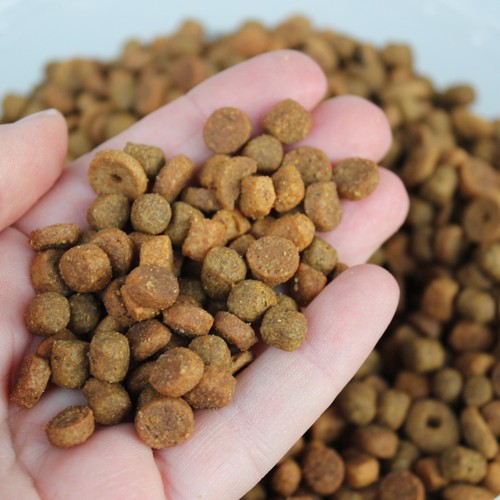 The hoghouse 500g african - 500g,