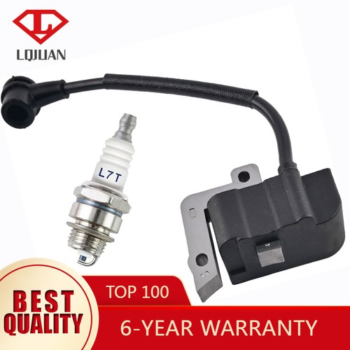 Ignition coil for - ignition,