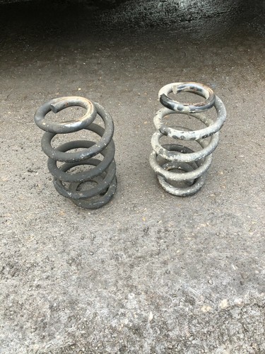 Front coil springs renault - front,