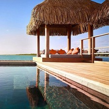 Straw roof thatch palm - palm,