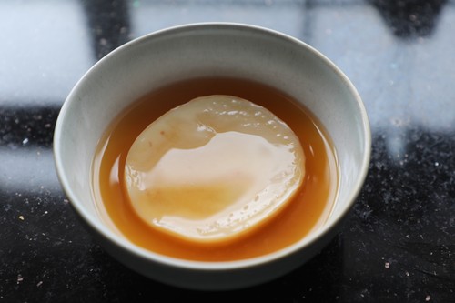 Large organic kombucha scoby - large,