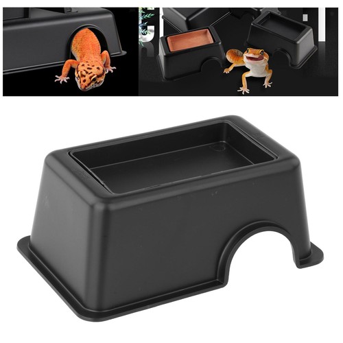 Reptile hideout box for snake - reptile,