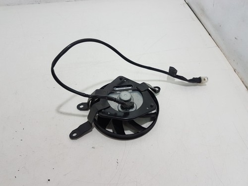 Radiator fan honda - honda, rr