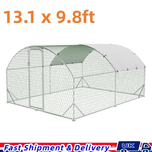 4x3m walk chicken - 4x3m, in