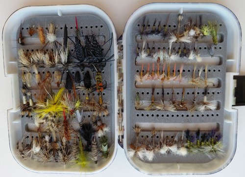 111 fly selection real tree - in,