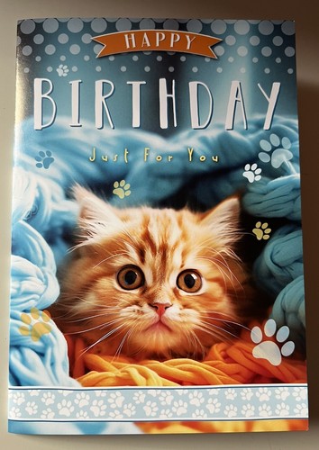 Cute ginger orange tabby - cute,